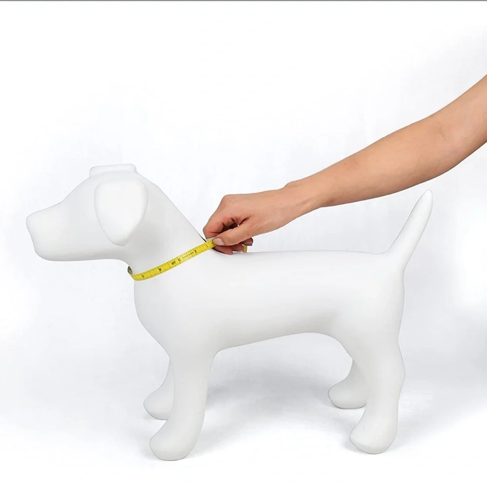 Martha Stewart Adjustable Nylon Collar Dog Color Bowtie Mint Size 14/S